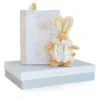 Lapin De Sucre - Protège Carnet De Santé Doudou Et Compagnie -C Comme Cadeau Soldes lapin de sucre protege carnet de sante doudou et compagnie